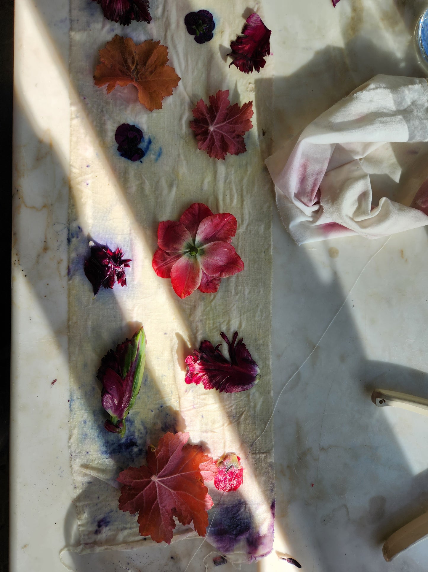 Eco-Botanical Print & Dyeing