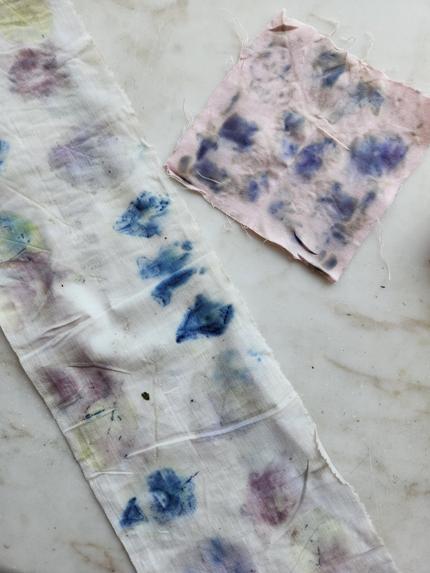 Eco-Botanical Print & Dyeing