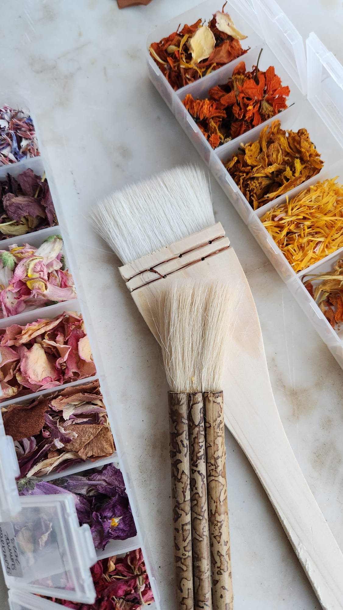 Floral Arts Class - 6 Weeks - Spring 2026