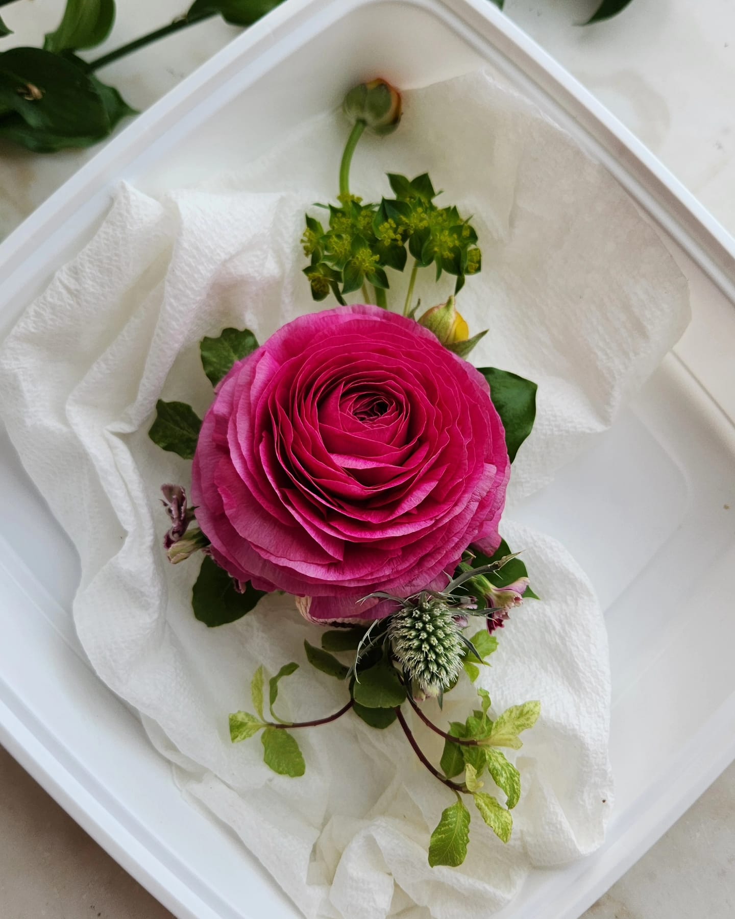 Introduction to Botanical Jewelry