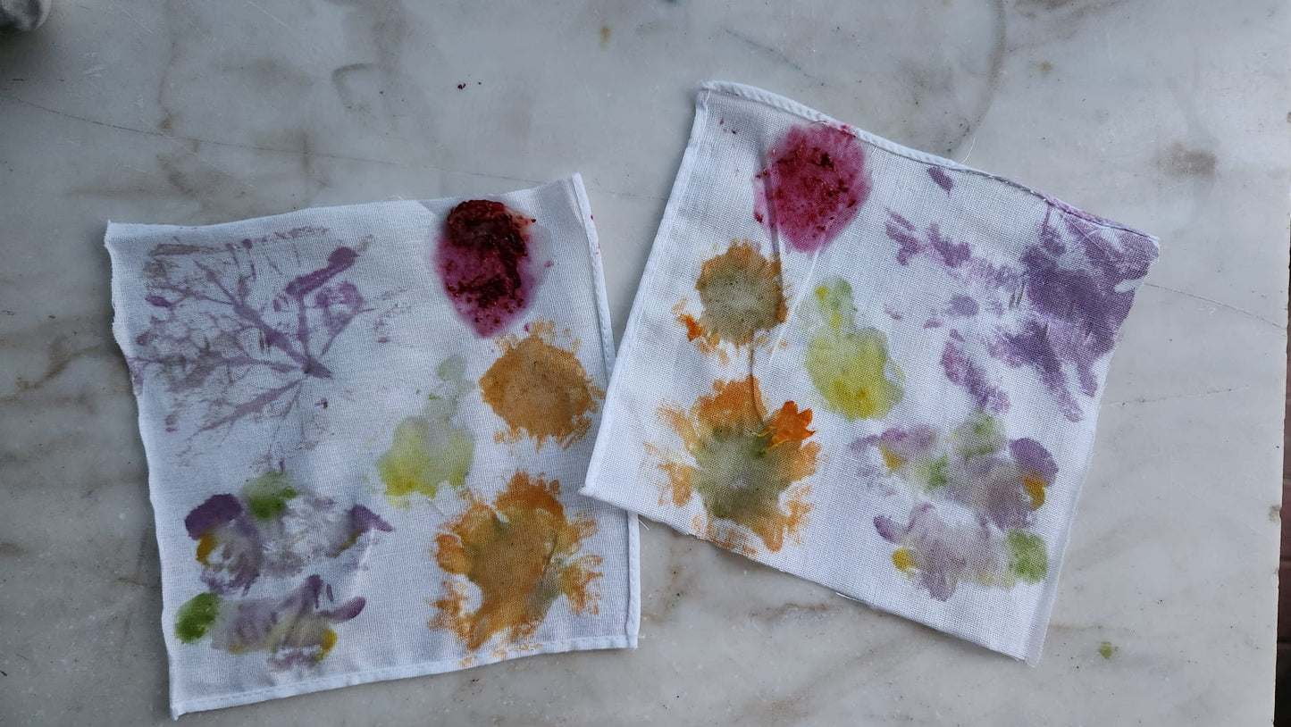 Eco-Botanical Print & Dyeing
