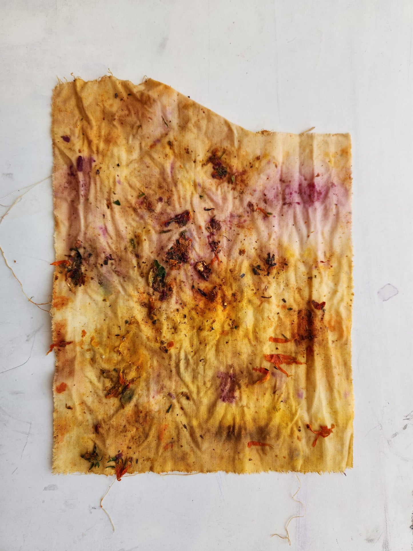 Eco-Botanical Print & Dyeing