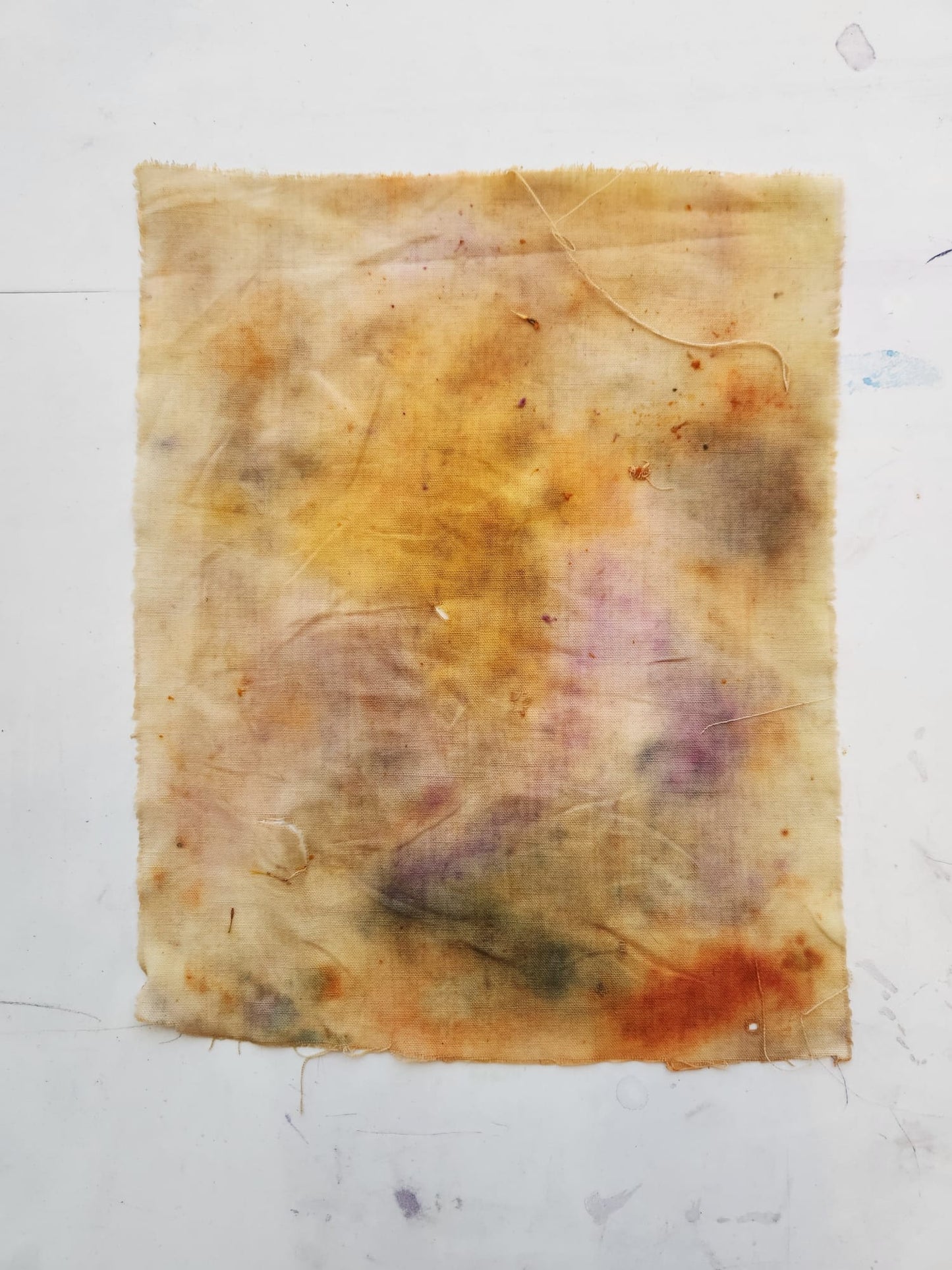 Eco-Botanical Print & Dyeing