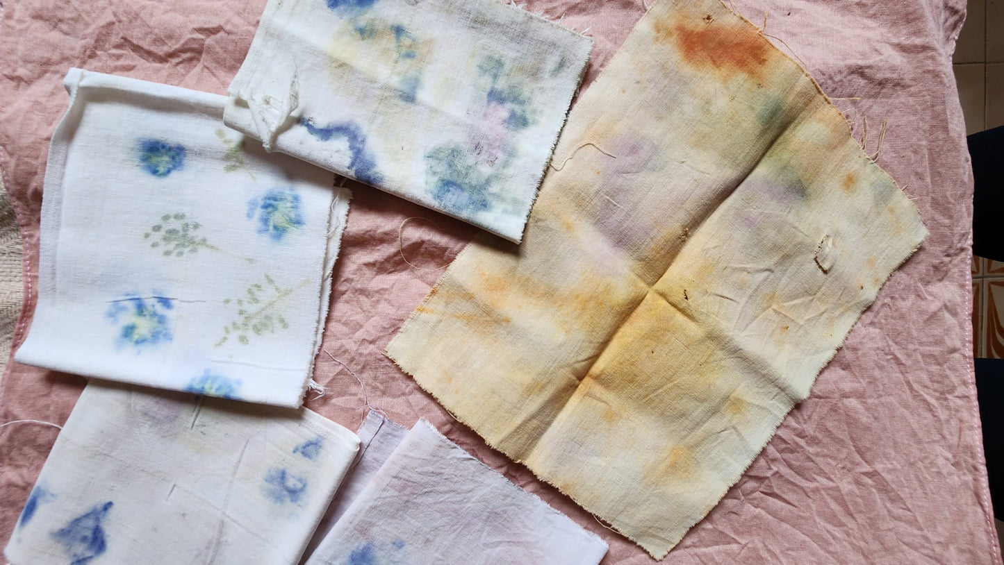 Eco-Botanical Print & Dyeing