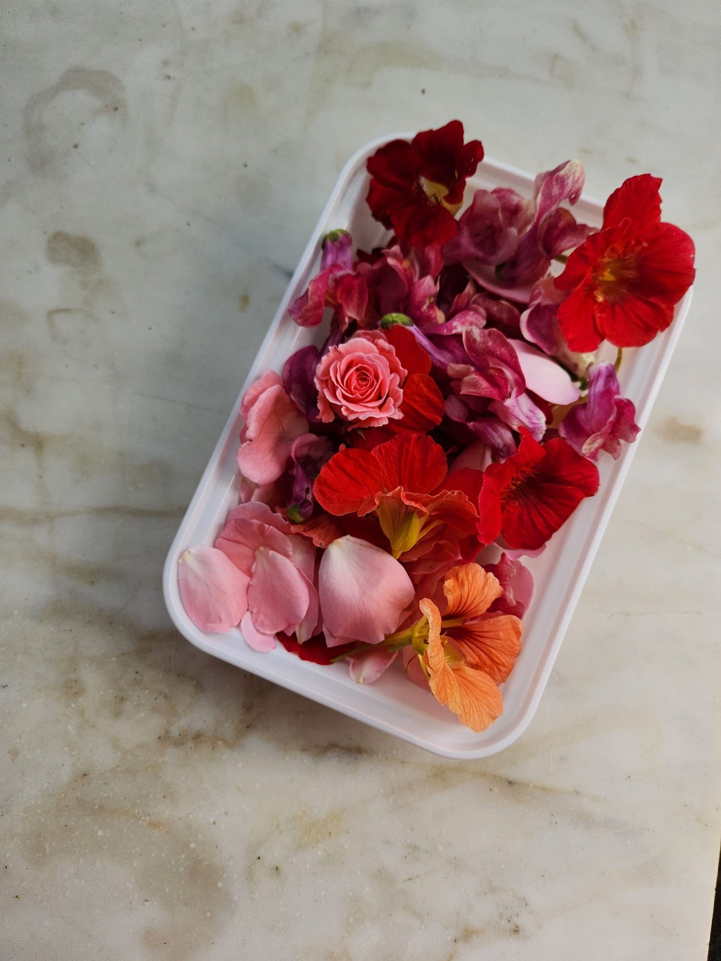 Floral Arts Class - 6 Weeks - Spring 2026