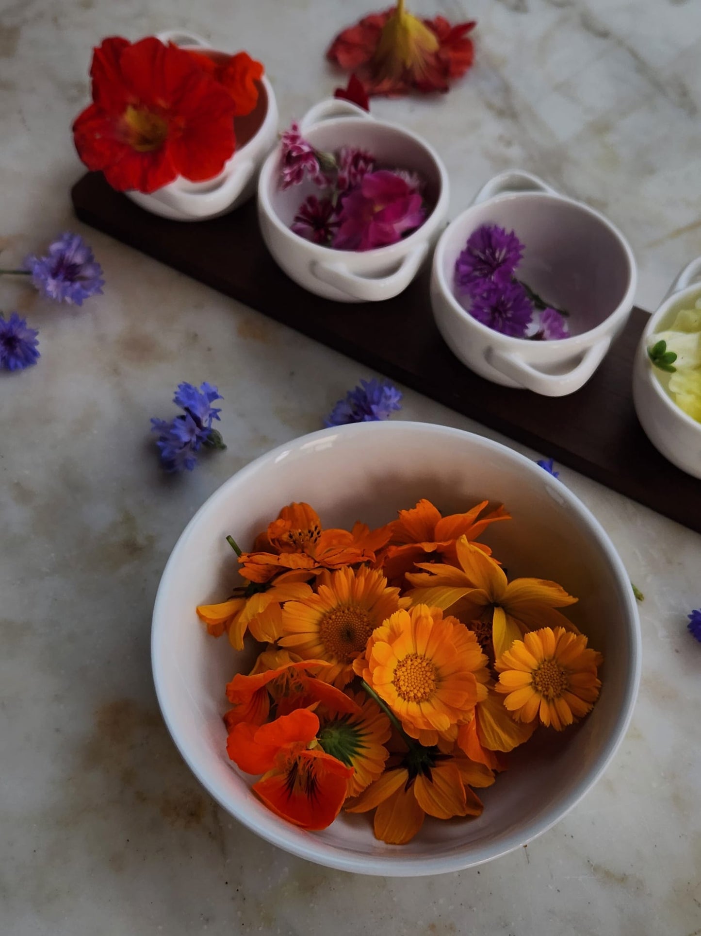 Floral Arts Class - 6 Weeks - Spring 2026