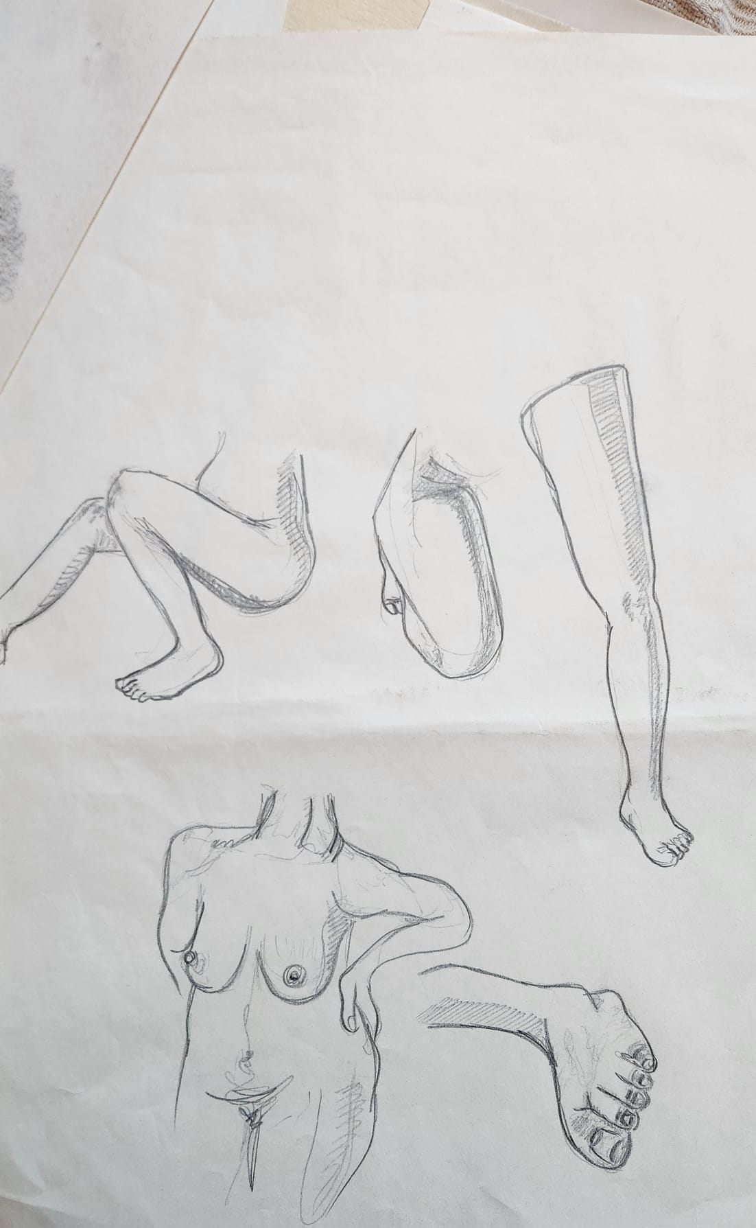 Adult Life Drawing (2 Sessions)