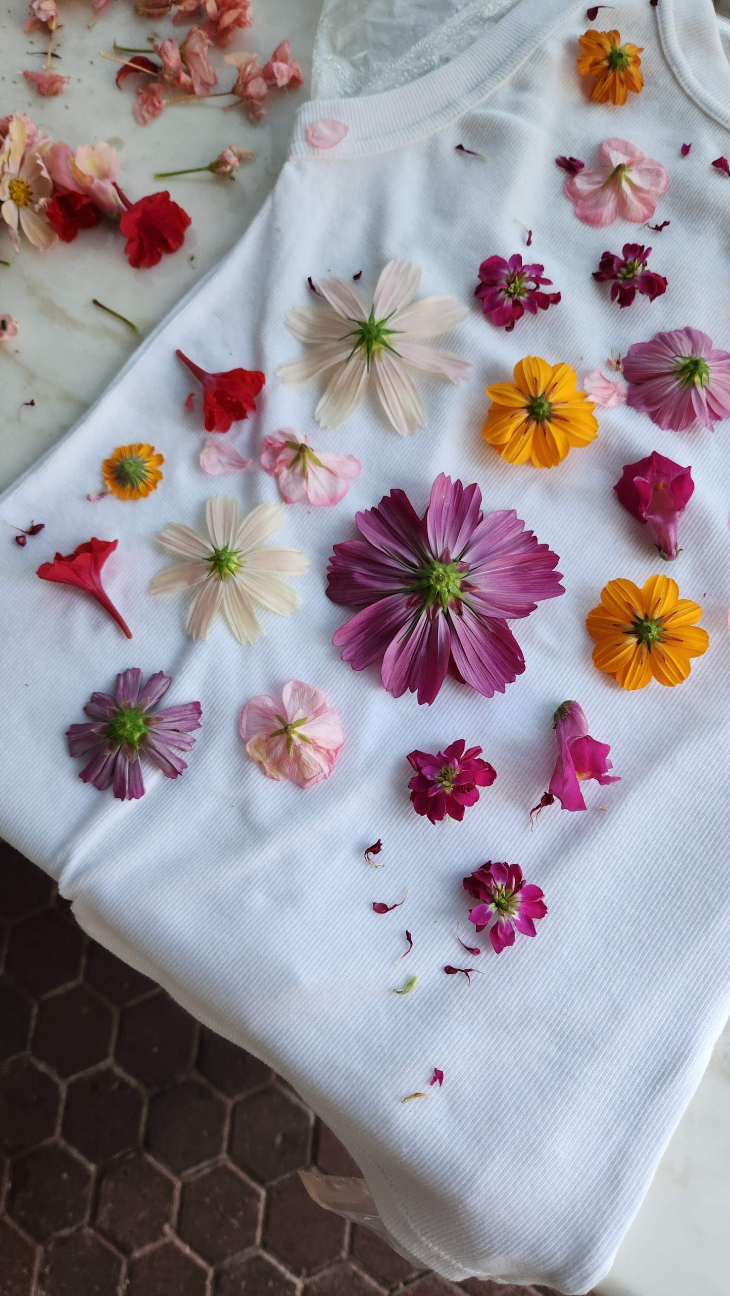 Eco-Botanical Print & Dyeing
