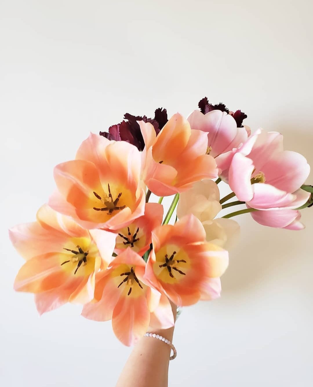 The Tulip Workshop (Spring 2027)