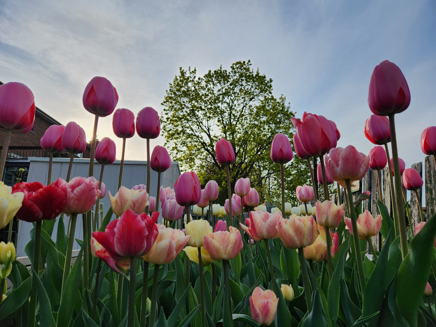 Floral Arts Class - 6 Weeks - Spring 2026