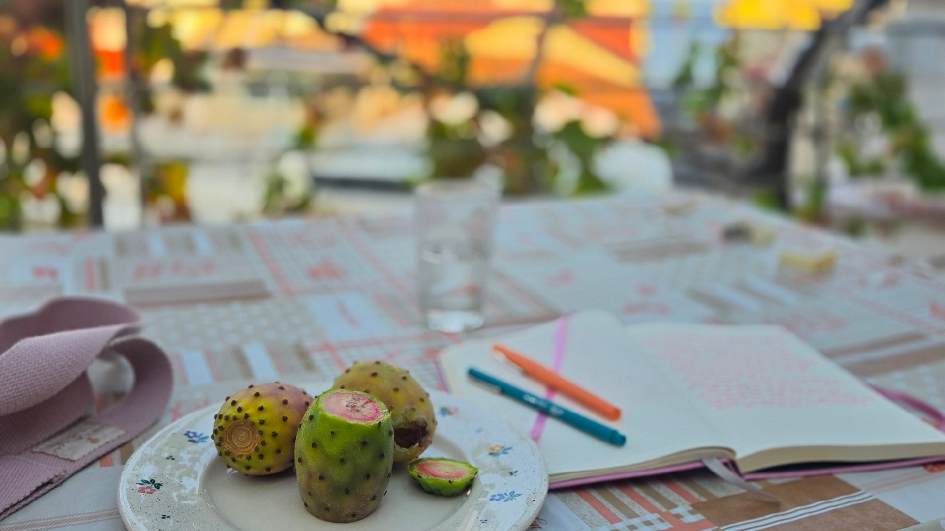 Prickly pears and a sketchbook on the terrace at sunset