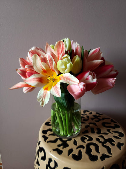 The Tulip Workshop - Spring 2027 - Friday, May 7th, 2027.