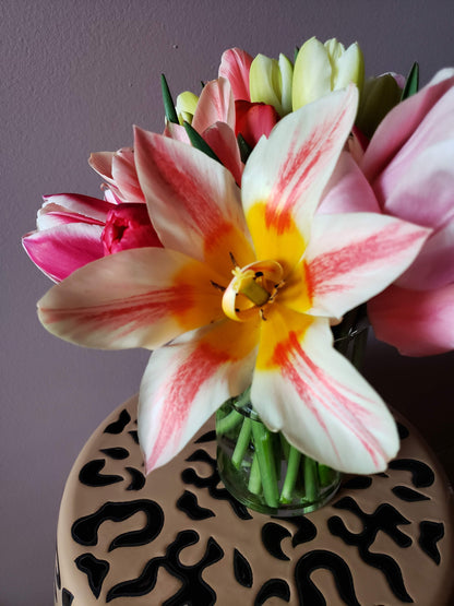 The Tulip Workshop - Spring 2027 - Friday, May 7th, 2027.