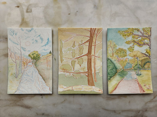 Landscape Painting - 9 Weeks