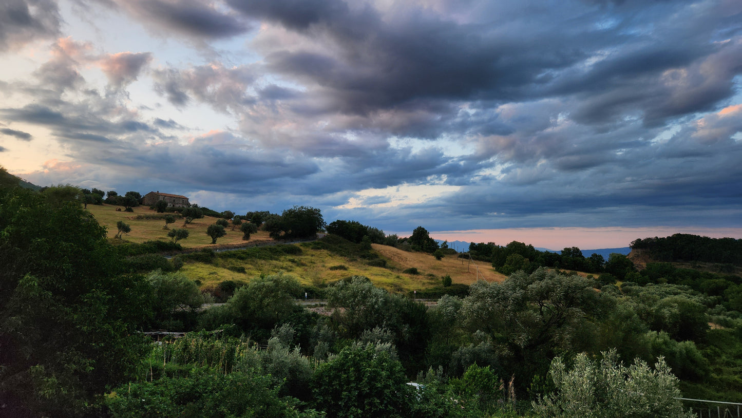 Art & Wellness Retreat - Calabria 2026-2027