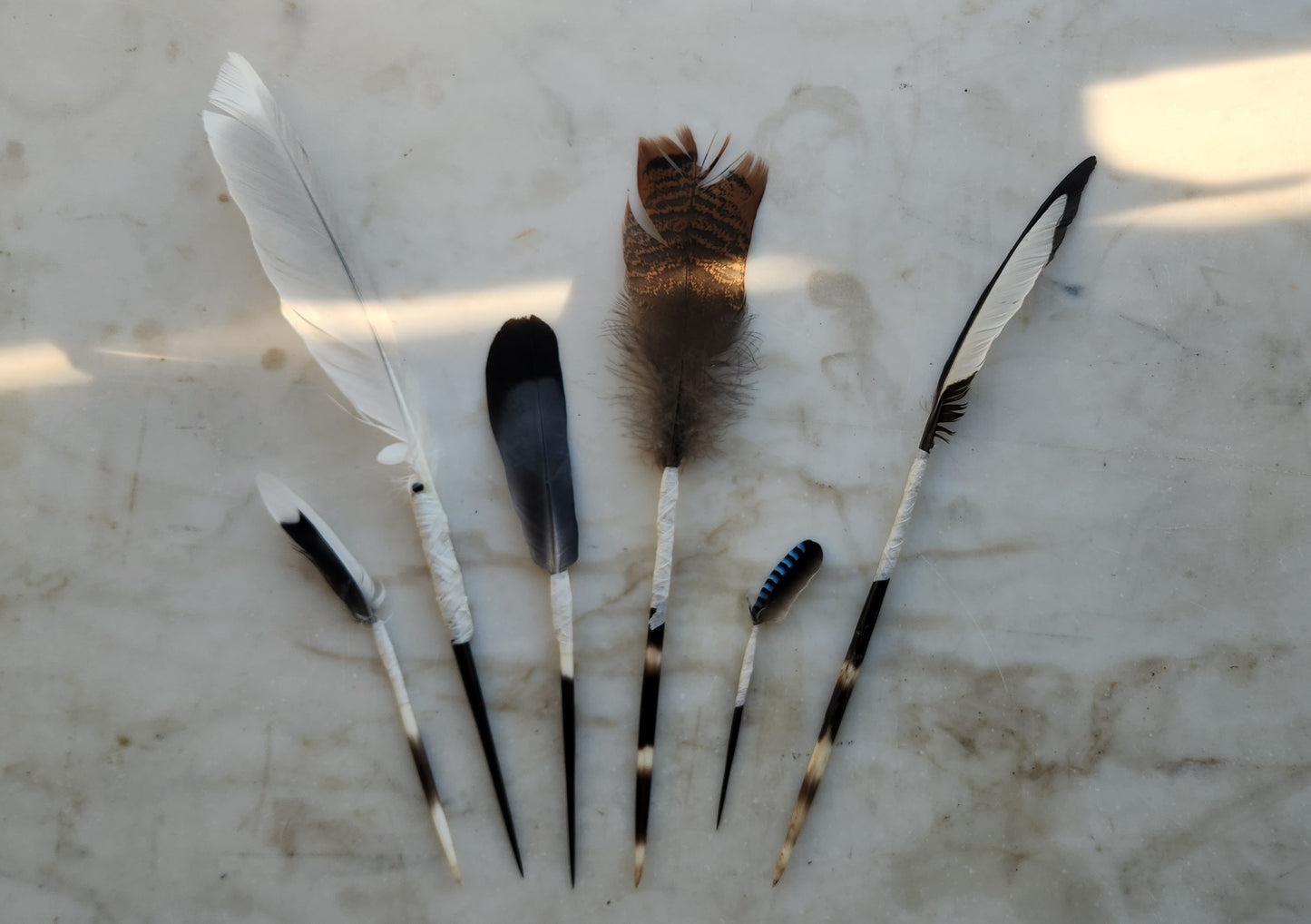 i pennelli della natura (nature's brushes)
