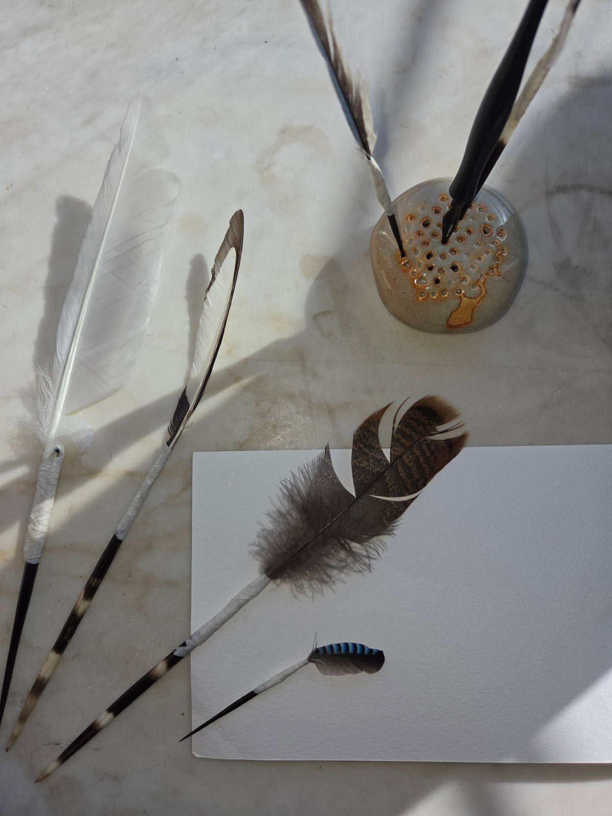 i pennelli della natura (nature's brushes)
