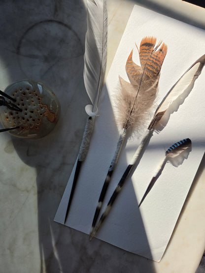 i pennelli della natura (nature's brushes)