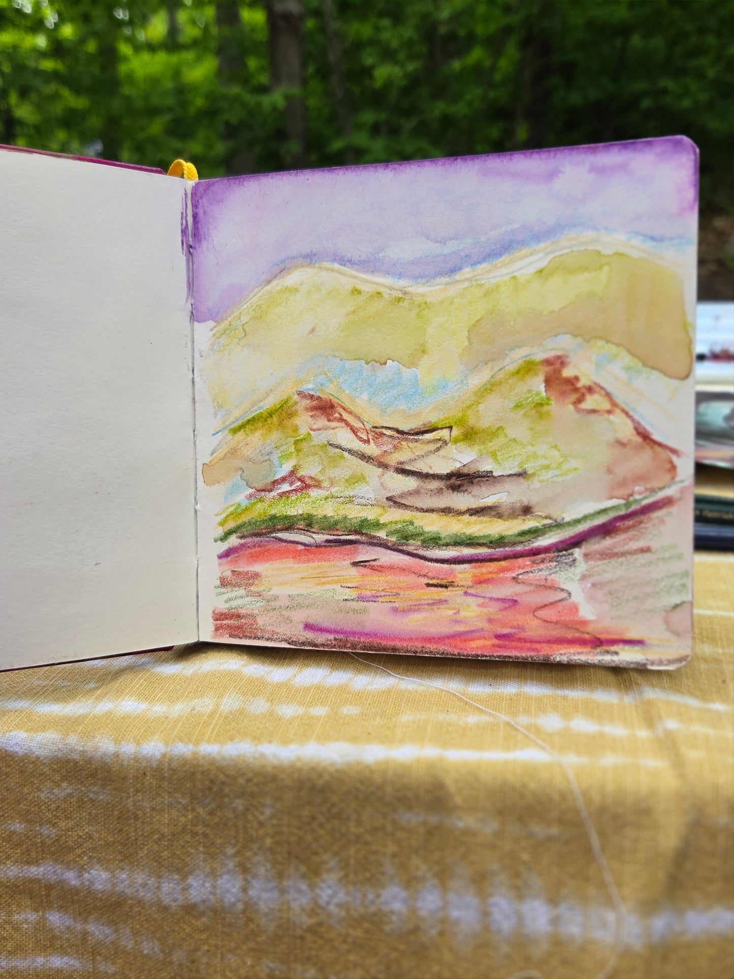 Drawing and Painting in Mixed Media - 6 Weeks - Winter 2027 - Dates TBA