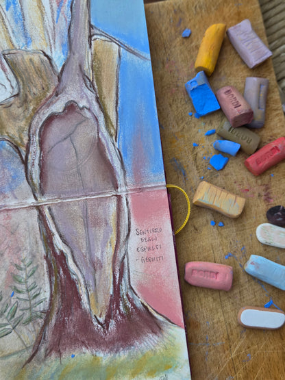 Drawing and Painting in Mixed Media - 6 Weeks - Winter 2027 - Dates TBA