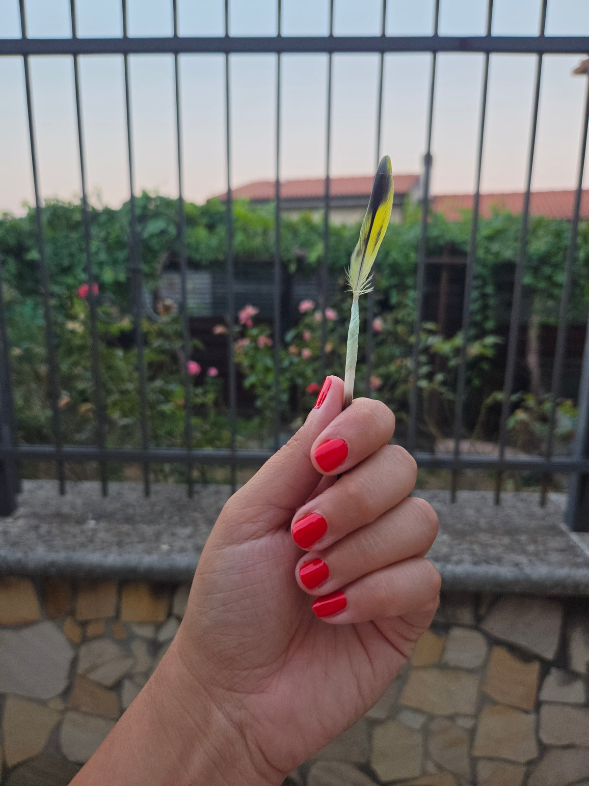 i pennelli della natura (nature's brushes)