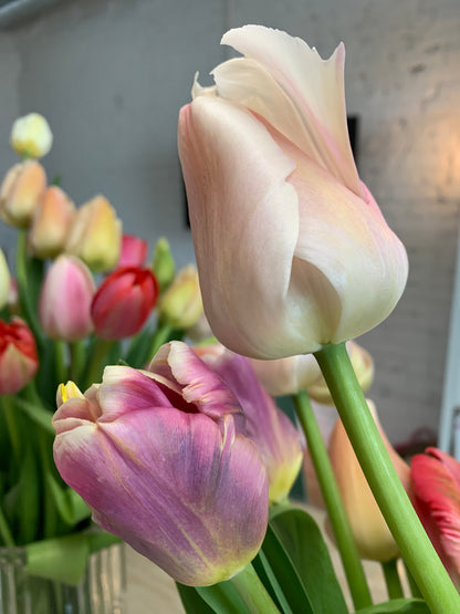 The Tulip Workshop - Spring 2027 - Friday, May 7th, 2027.