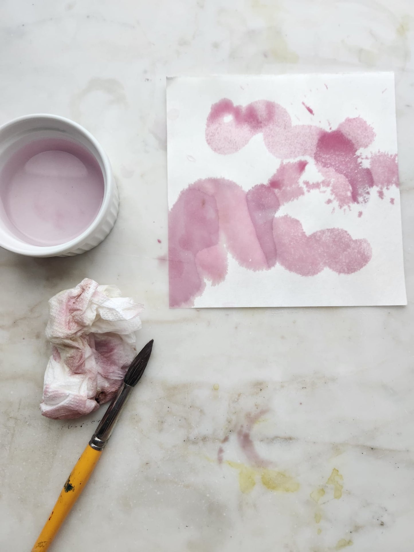 Botanical Ink Making