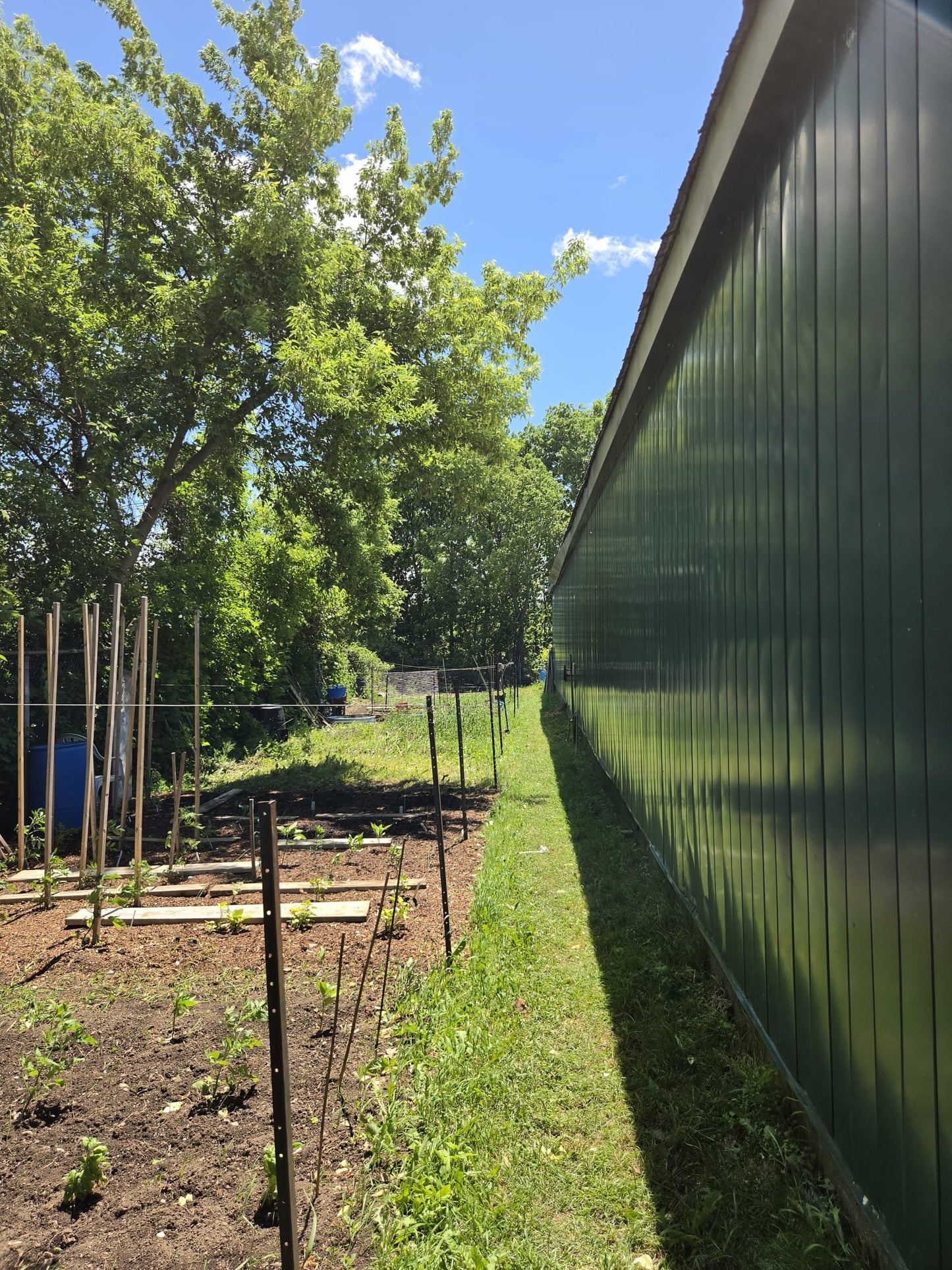 Art Garden Visit - Ercole D'Amario Community Gardens