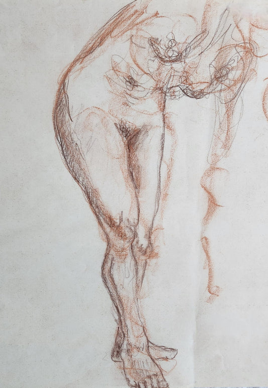 Adult Life Drawing (2 Sessions)