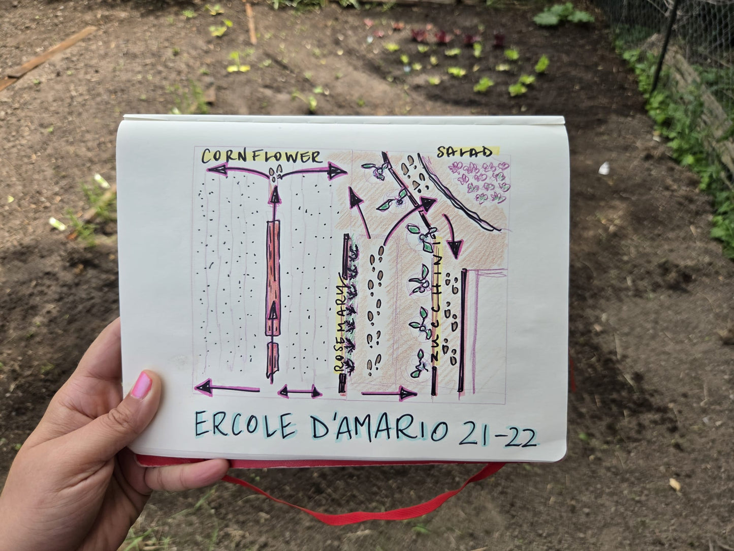 Outdoor Art Class - Ercole D'Amario Community Gardens - Monday, September 14th, 2026.