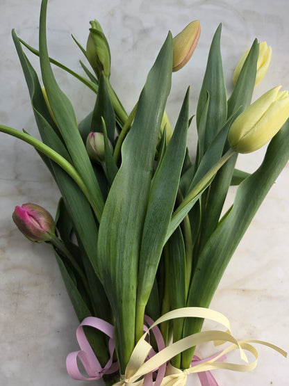 The Tulip Workshop - Spring 2027 - Friday, May 7th, 2027.