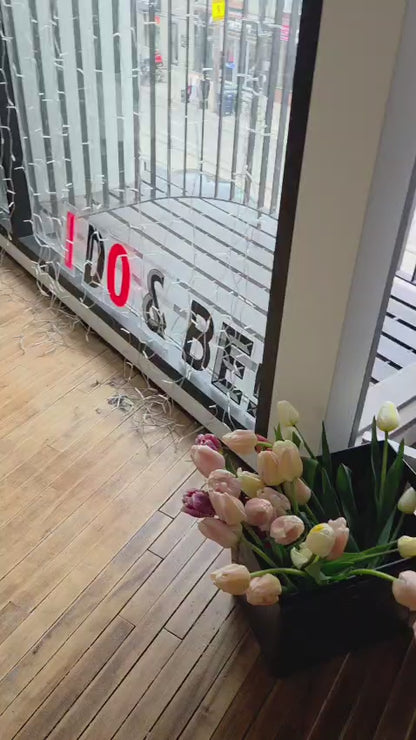 The Tulip Workshop (Spring 2027)