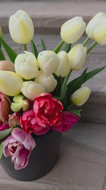 The Tulip Workshop (Spring 2027)