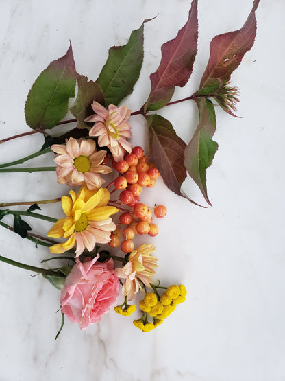 Outdoor Art Class - Ercole D'Amario Community Gardens - 3 Weeks