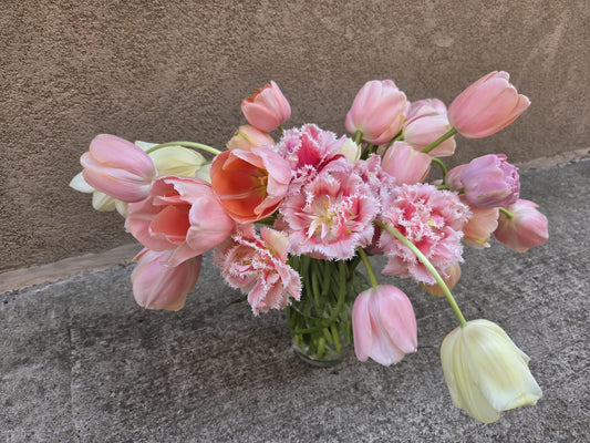 The Tulip Workshop (Spring 2027)