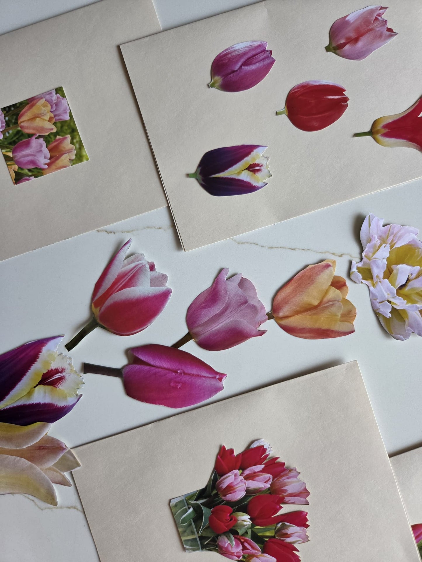 The Tulip Workshop (Spring 2027)