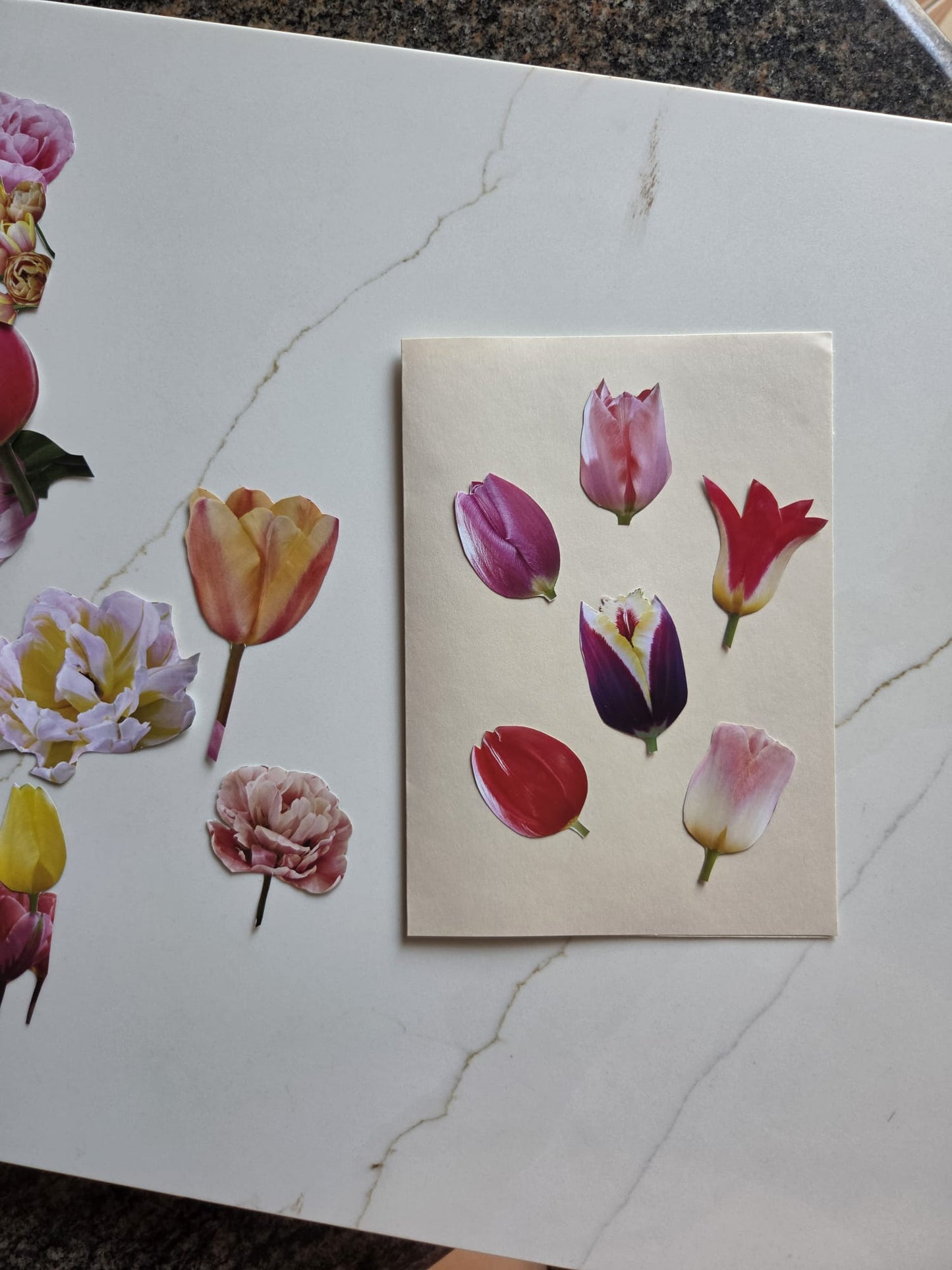 The Tulip Workshop (Spring 2027)