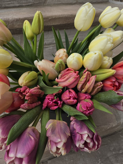 The Tulip Workshop (Spring 2027)