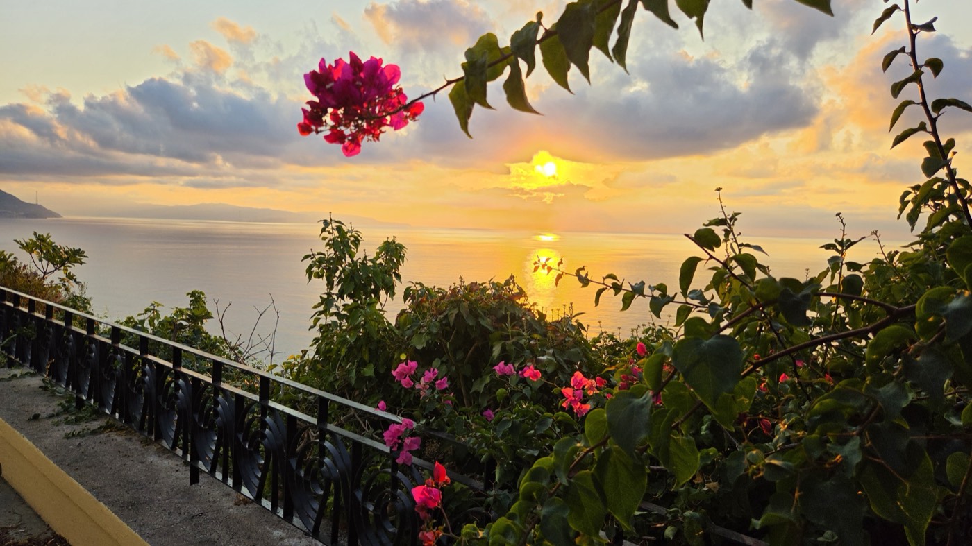 Day 11 · Monday · Free Day: Rest, Reflect & Reconnect